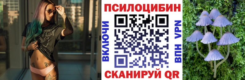 Галлюциногенные грибы Psilocybine cubensis  Павловский Посад 